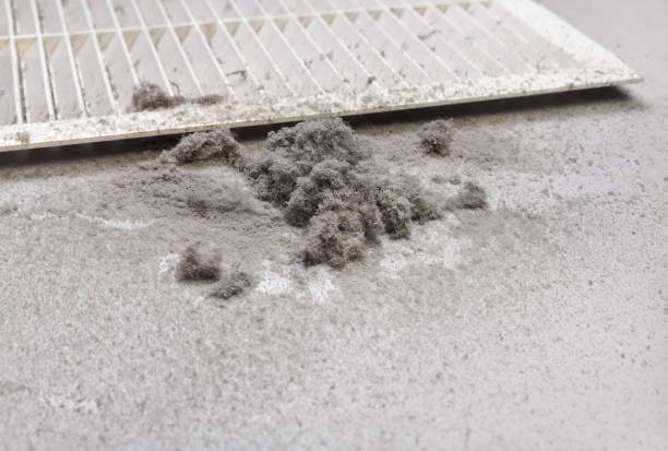 Best Dryer Vent Cleaning Services  in Denton, NC